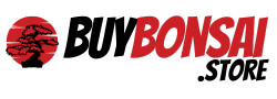 Buy Bonsai Logo